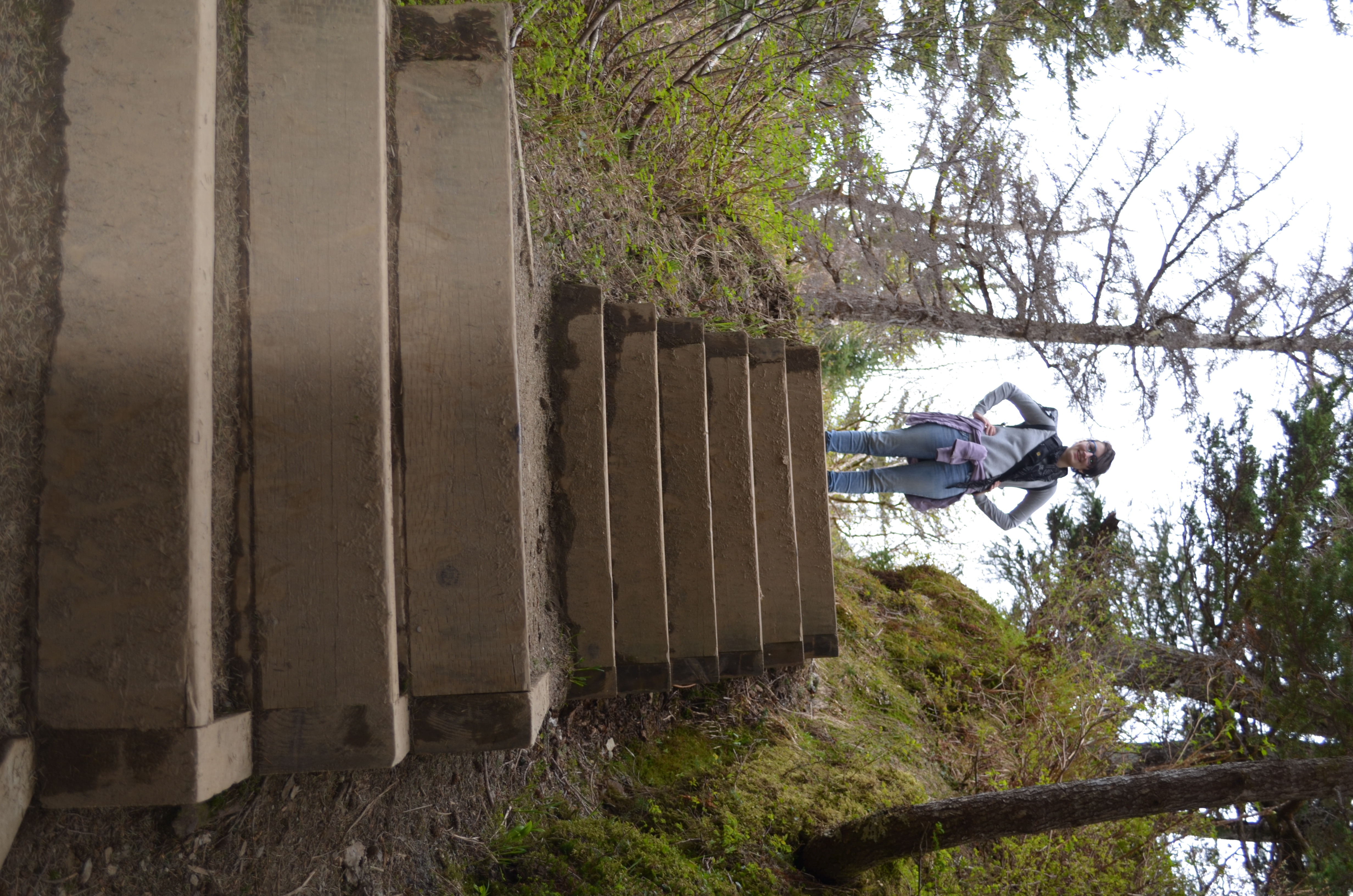 ./2017/08 - Alaska Cruise/08 - Juneau/DSC_0932.JPG